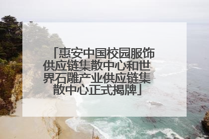 惠安中国校园服饰供应链集散中心和世界石雕产业供应链集散中心正式揭牌