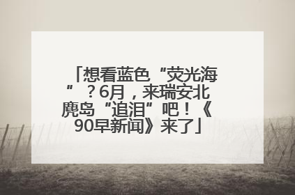 想看蓝色“荧光海”？6月，来瑞安北麂岛“追泪”吧！《90早新闻》来了