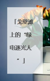 戈壁滩上的“绿电逐光人”