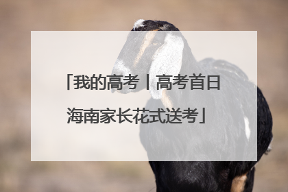 我的高考丨高考首日 海南家长花式送考
