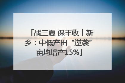 战三夏 保丰收丨新乡：中低产田“逆袭” 亩均增产15%