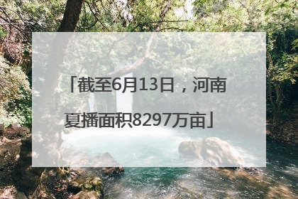 截至6月13日，河南夏播面积8297万亩