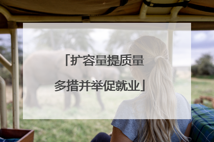 扩容量提质量 多措并举促就业