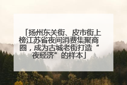 扬州东关街、皮市街上榜江苏省夜间消费集聚商圈，成为古城老街打造“夜经济”的样本