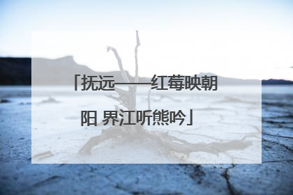 抚远——红莓映朝阳 界江听熊吟