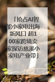 抢占AI智能小家电出海新风口 超100家跨境卖家探访慈溪小家电产业带