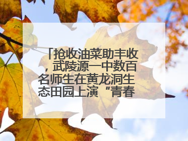 抢收油菜助丰收，武陵源一中数百名师生在黄龙洞生态田园上演“青春助农记”