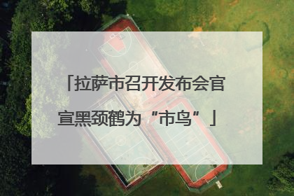 拉萨市召开发布会官宣黑颈鹤为“市鸟”