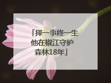 择一事终一生 他在椒江守护森林18年