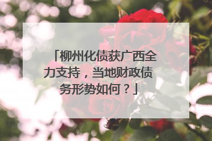 柳州化债获广西全力支持，当地财政债务形势如何？