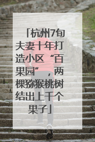 杭州7旬夫妻十年打造小区“百果园”，两棵猕猴桃树结出上千个果子