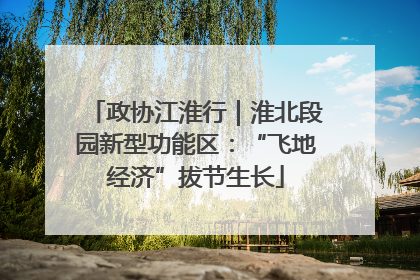 政协江淮行｜淮北段园新型功能区：“飞地经济”拔节生长