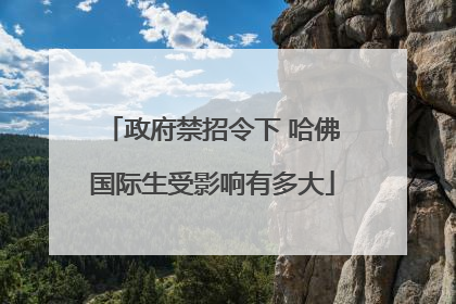 政府禁招令下 哈佛国际生受影响有多大