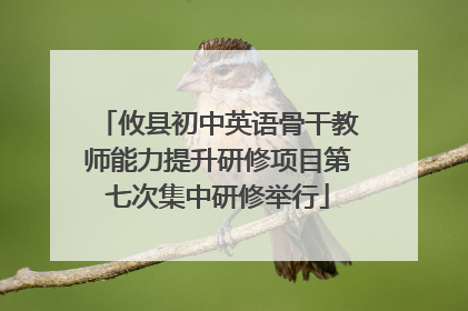 攸县初中英语骨干教师能力提升研修项目第七次集中研修举行