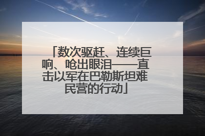 数次驱赶、连续巨响、呛出眼泪——直击以军在巴勒斯坦难民营的行动