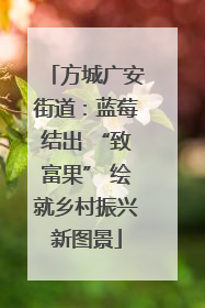 方城广安街道：蓝莓结出 “致富果” 绘就乡村振兴新图景