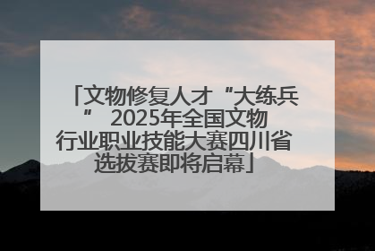 文物修复人才“大练兵” 2025年全国文物行业职业技能大赛四川省选拔赛即将启幕
