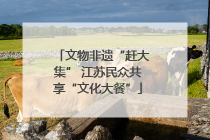 文物非遗“赶大集” 江苏民众共享“文化大餐”