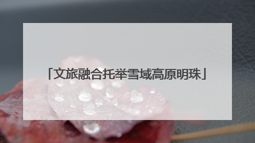 文旅融合托举雪域高原明珠