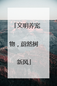 文明养宠物，蔚然树新风