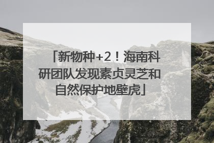 新物种+2！海南科研团队发现素贞灵芝和自然保护地壁虎