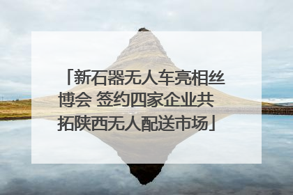 新石器无人车亮相丝博会 签约四家企业共拓陕西无人配送市场