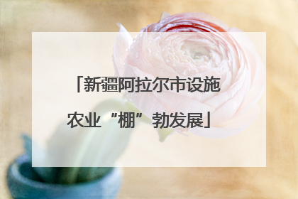 新疆阿拉尔市设施农业“棚”勃发展