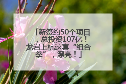 新签约50个项目，总投资107亿！龙岩上杭这套“组合拳”，漂亮！