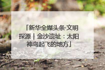 新华全媒头条·文明探源｜金沙遗址：太阳神鸟起飞的地方