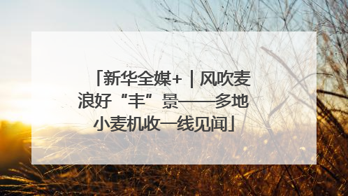 新华全媒+｜风吹麦浪好“丰”景——多地小麦机收一线见闻