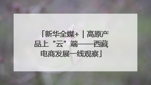 新华全媒+｜高原产品上“云”端——西藏电商发展一线观察