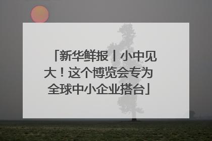 新华鲜报丨小中见大！这个博览会专为全球中小企业搭台