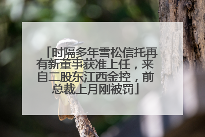 时隔多年雪松信托再有新董事获准上任，来自二股东江西金控，前总裁上月刚被罚