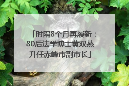 时隔8个月再履新：80后法学博士黄双燕升任赤峰市副市长