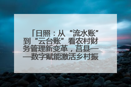 日照：从“流水账”到“云台账”看农村财务管理新变革，莒县——数字赋能激活乡村振兴“一池春水”