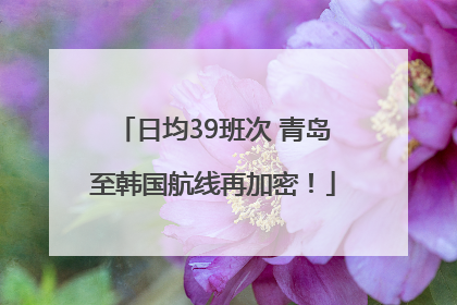 日均39班次 青岛至韩国航线再加密！