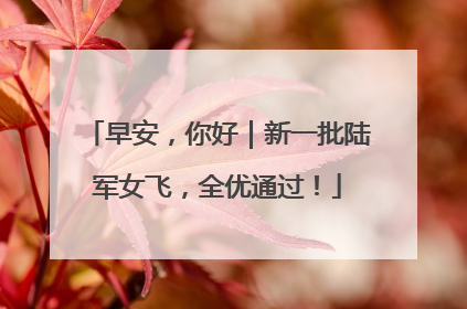 早安，你好｜新一批陆军女飞，全优通过！