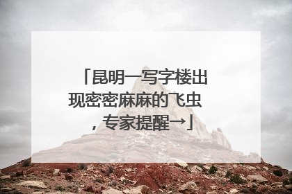 昆明一写字楼出现密密麻麻的飞虫，专家提醒→