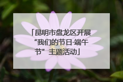 昆明市盘龙区开展“我们的节日·端午节”主题活动