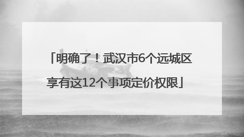 明确了！武汉市6个远城区享有这12个事项定价权限