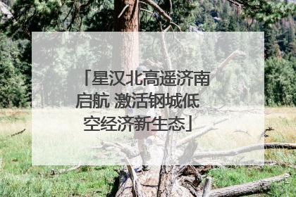 星汉北高遥济南启航 激活钢城低空经济新生态