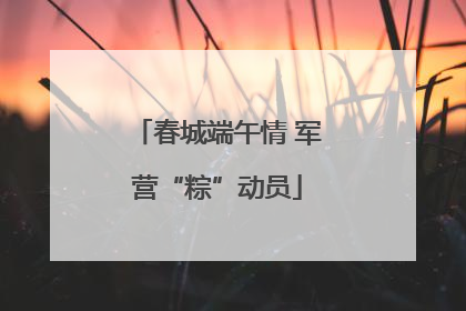 春城端午情 军营“粽”动员