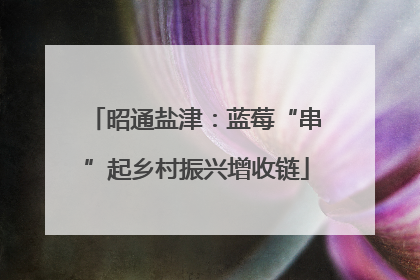 昭通盐津：蓝莓“串”起乡村振兴增收链