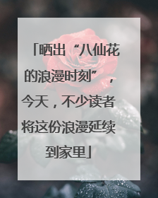 晒出“八仙花的浪漫时刻”，今天，不少读者将这份浪漫延续到家里
