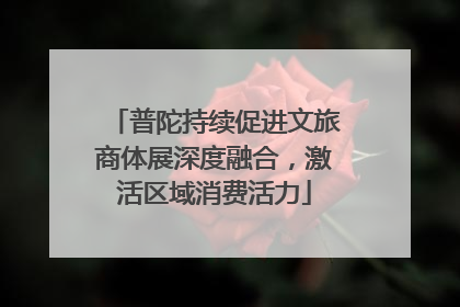 普陀持续促进文旅商体展深度融合，激活区域消费活力