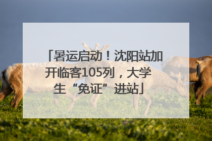 暑运启动！沈阳站加开临客105列，大学生“免证”进站