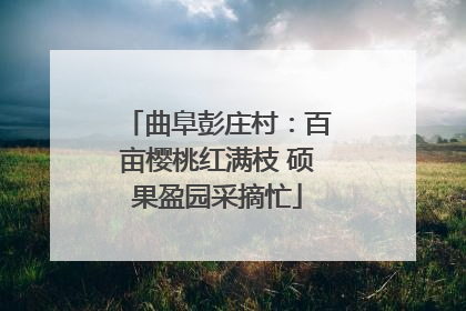 曲阜彭庄村：百亩樱桃红满枝 硕果盈园采摘忙