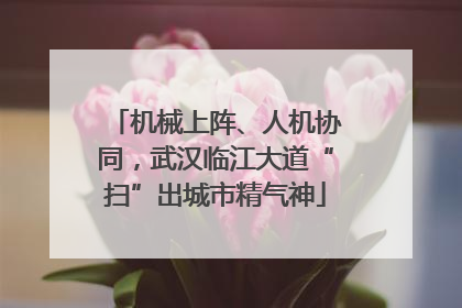 机械上阵、人机协同，武汉临江大道“扫”出城市精气神