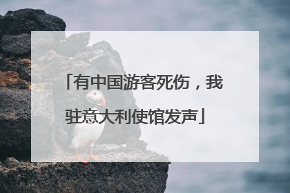 有中国游客死伤，我驻意大利使馆发声