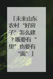未来山东农村“好房子”怎么建？既要有“里”也要有“面”